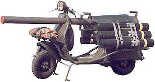 Für alle Fälle... eine Kriegswespe!